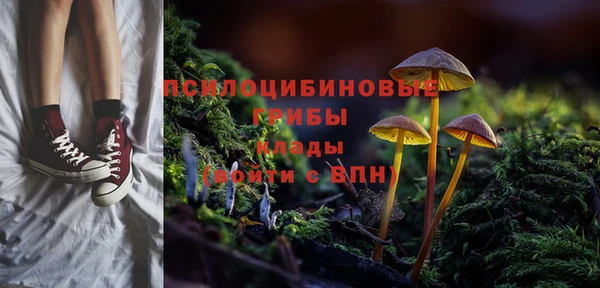 apvp Заводоуковск